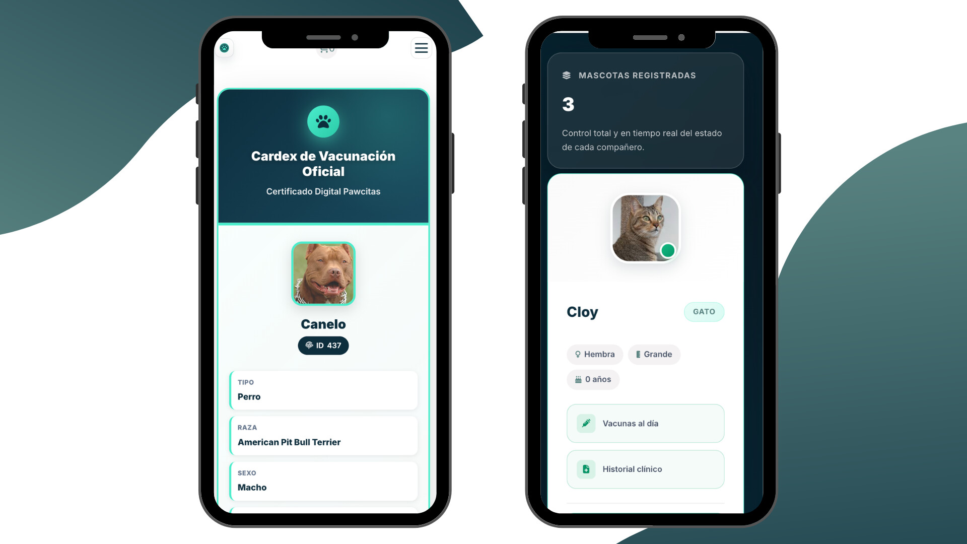 Portal de clientes de Pawcitas en celular: carnet de vacunación y mascotas