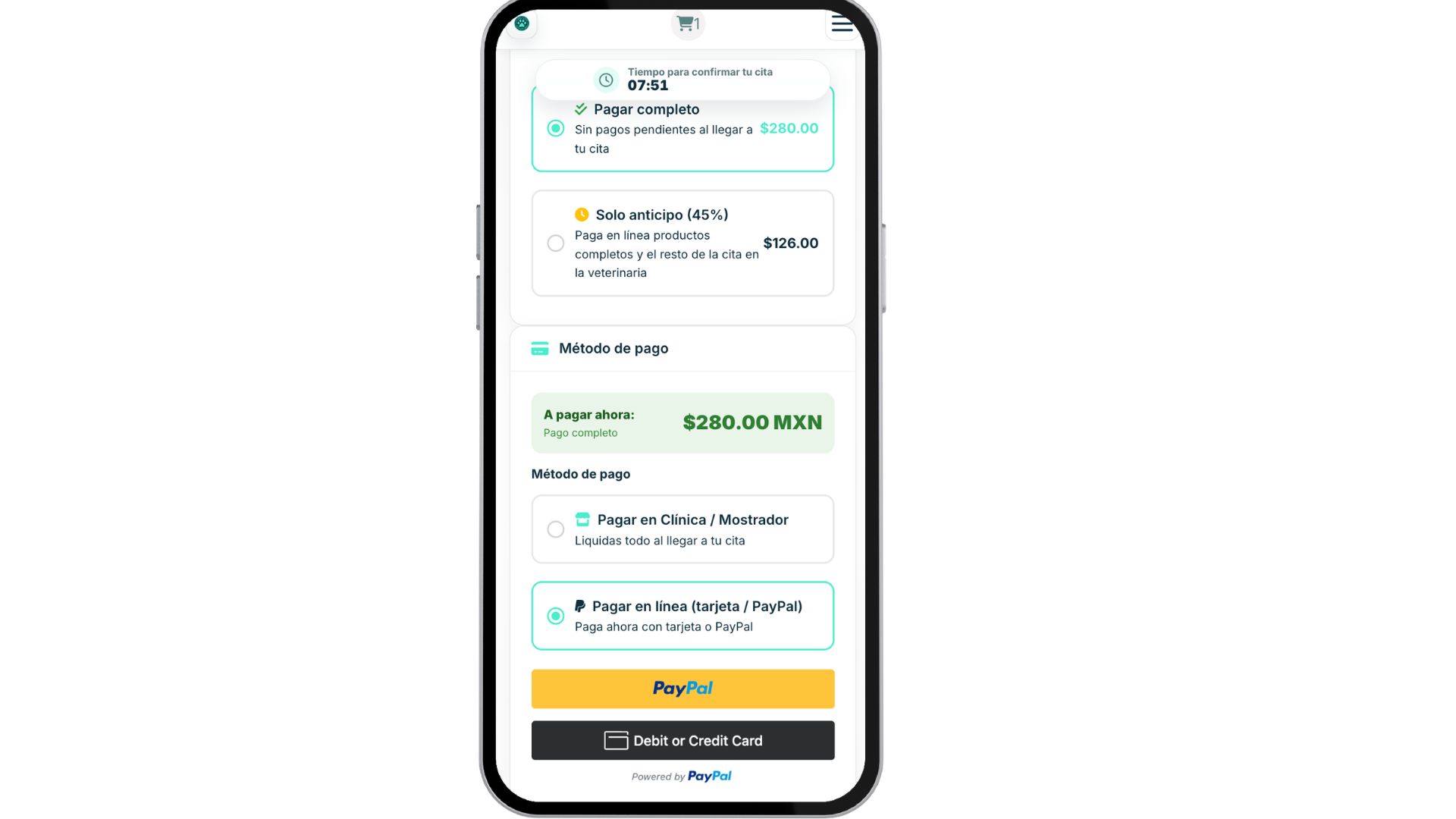 Pantalla de pago seguro de una cita en Pawcitas con Stripe