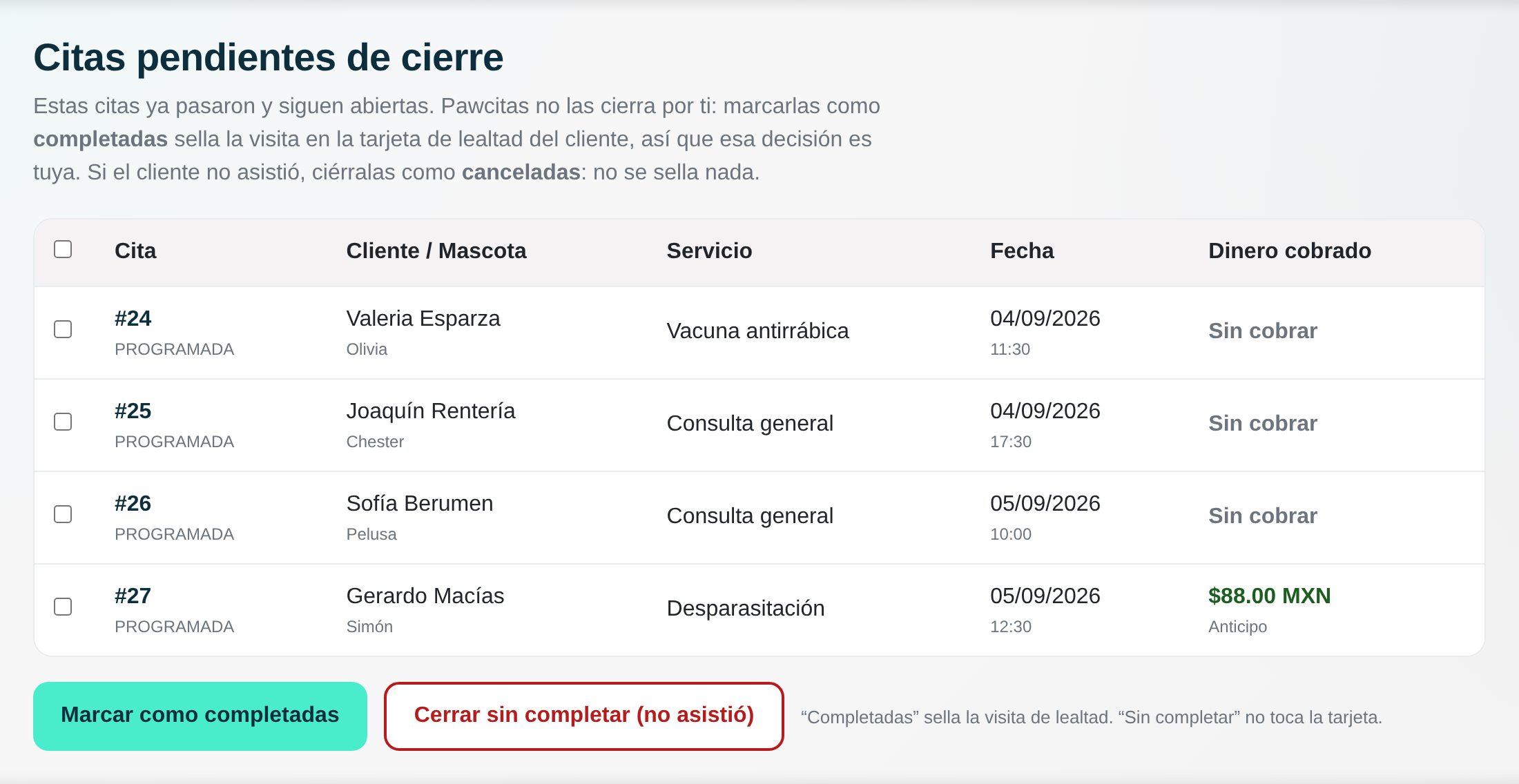 Las citas pasadas sin cerrar en Pawcitas, con el dinero cobrado de cada una