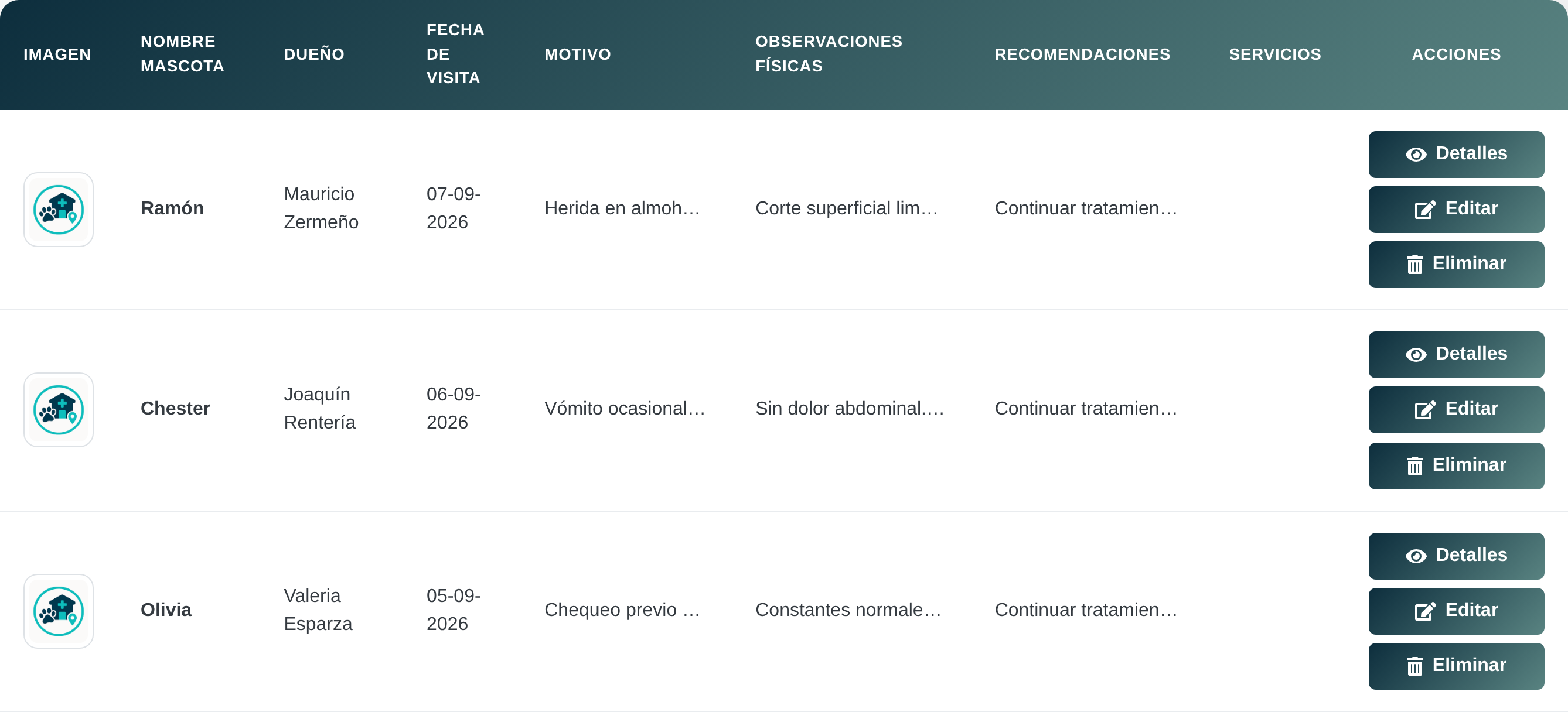 Las consultas escritas en Pawcitas, con su motivo y sus observaciones